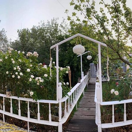 Royal'S Studios Loutra Edipsou  Dış mekan fotoğraf
