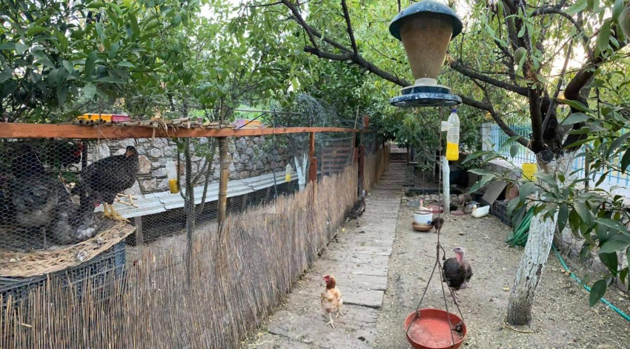 Royal'S Studios Loutra Edipsou  Dış mekan fotoğraf